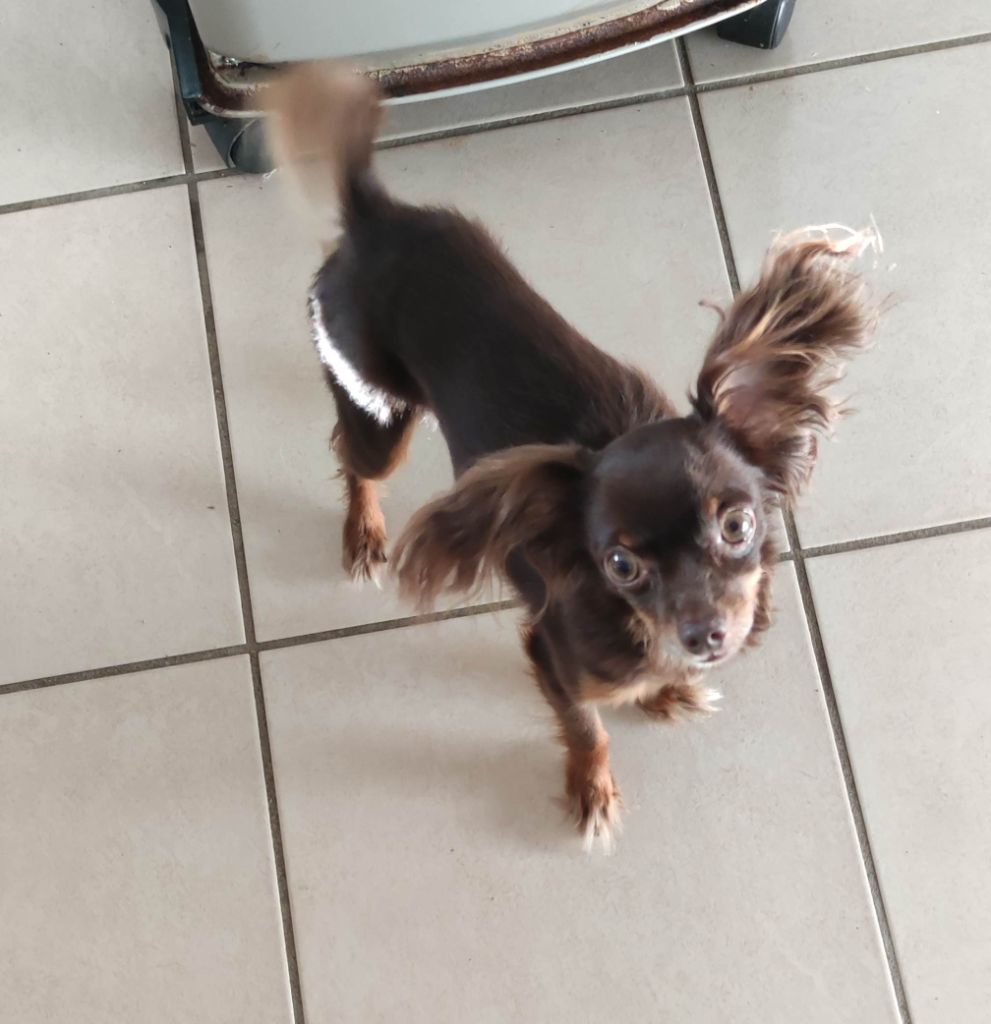 kiss of tender Paris dakkar